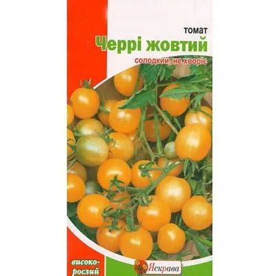 Томат Черри желтый фото