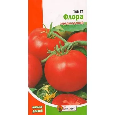 Томат Флора фото