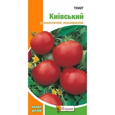 Томат Киевский фото