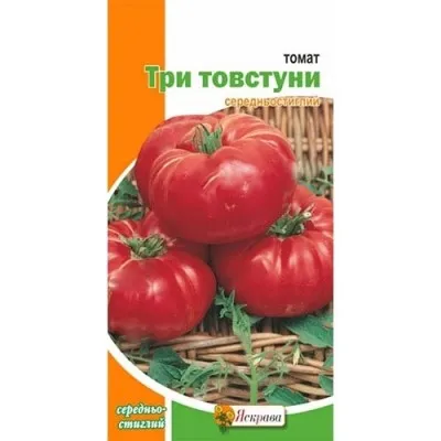 Томат Три Толстяка фото