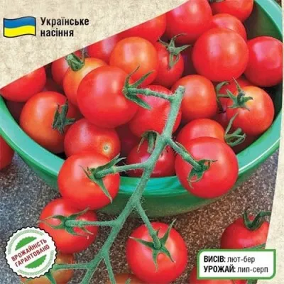 Томат Восторг Садовода фото