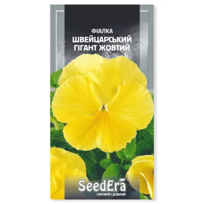 Фиалка Швейцарский гигант желтый фото