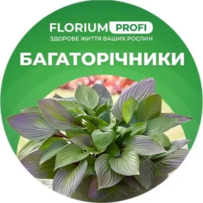 Удобрение для многолетников (Florium Profi универсальное) 4м. 700г фото