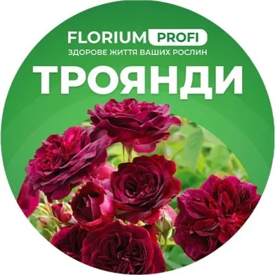 Удобрение для роз (Florium Profi универсальное) 4м. 700г фото