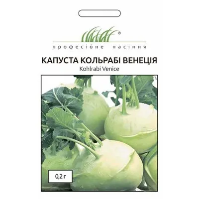 Капуста кольраби Венеция фото