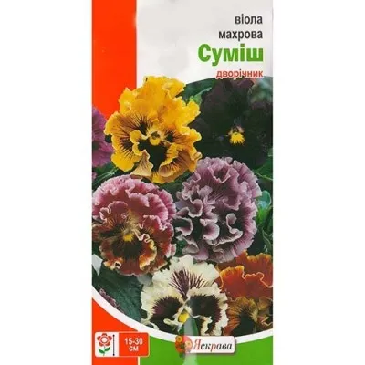 Виола Махровая смесь фото