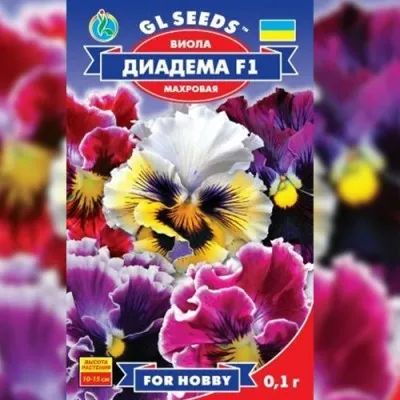 Виола F1 Диадема фото