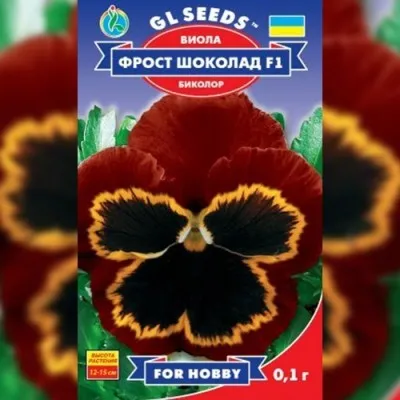 Виола F1 Фрост Шоколад фото
