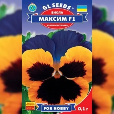 Виола F1 Максим фото