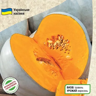 Тыква Волжская серая 3г фото
