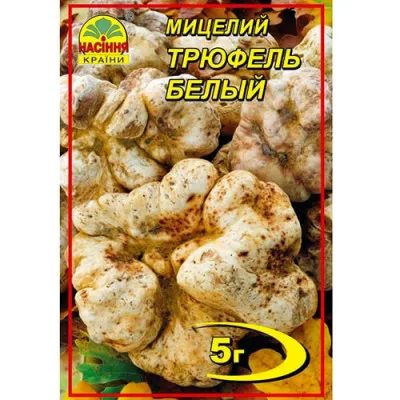 Трюфель белый фото
