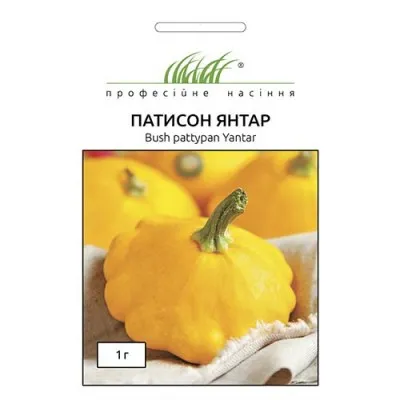 Патиссон Янтарь фото