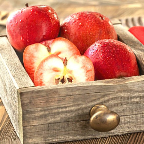 Яблоня красномясая Редлав Одиссо фото