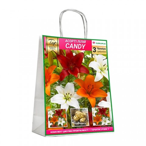 Премиум лилии Candy (брендовая упаковка) фото
