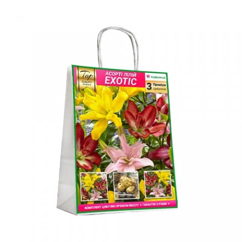Премиум лилии Exotic (брендовая упаковка) фото
