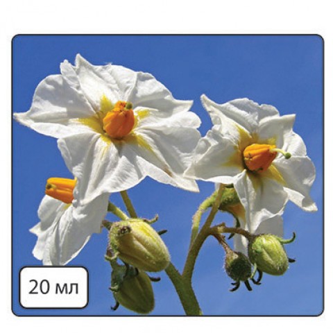 Кода Бор (для улучшения цветения из БИО.) фото