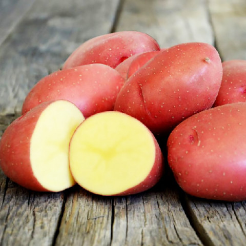 Семена картофеля Краса фото