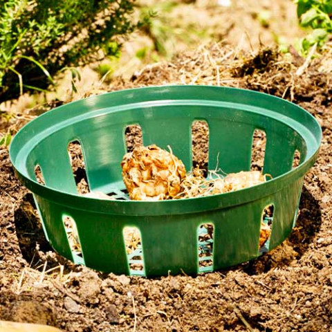 Корзинка для луковиц круглая 18 см зеленая фото