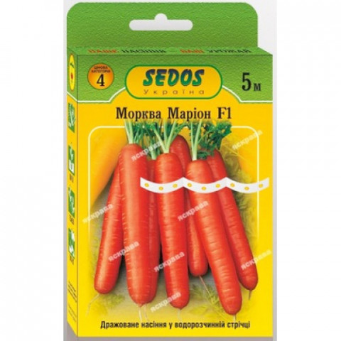 Морковь на ленте Марион 5м фото