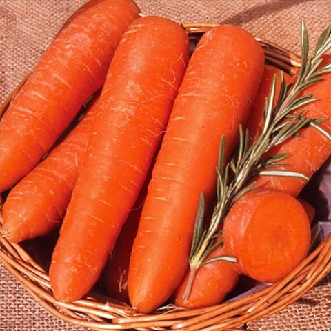 Морковь Сластена F1 20г фото