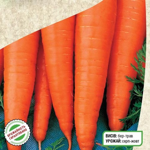 Морковь Красный Великан фото