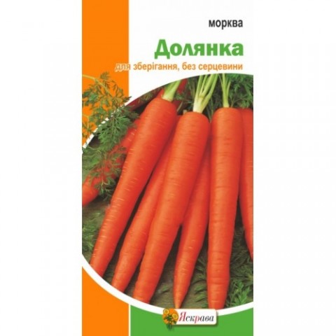 Морковь Долянка фото