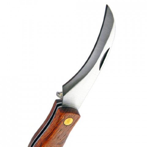Нож грибника с кистью и меркой (GR5040) фото