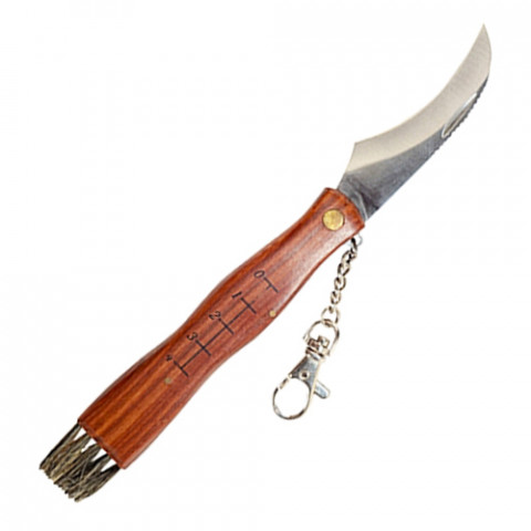 Нож грибника с кистью и меркой (GR5040) фото
