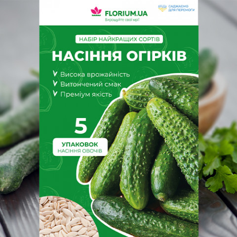 Набор семян огурцов (5 упаковок) фото