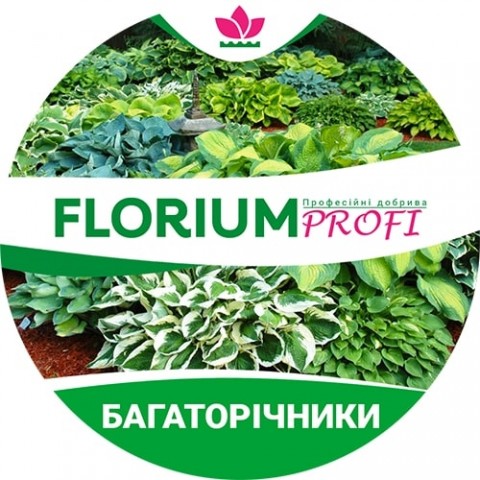 Удобрение для многолетников (Florium Profi универсальное) 4м. 250г фото