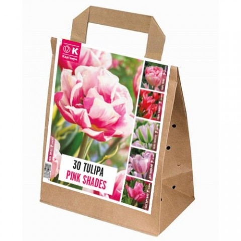 Тюльпаны Pink Shades (Брендовые луковицы KAPITEYN®) фото