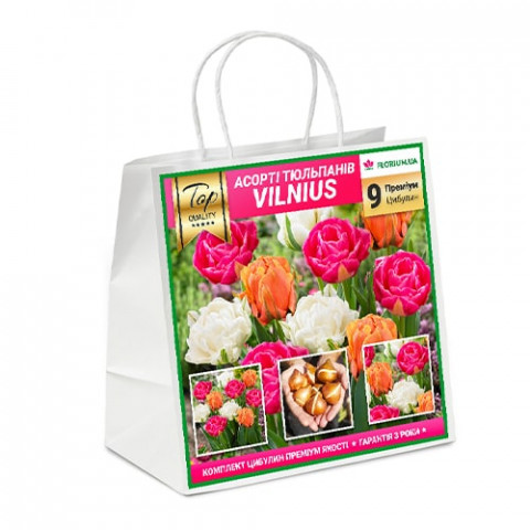Премиум Микс тюльпанов Вильнюс (брендовый пакет) фото