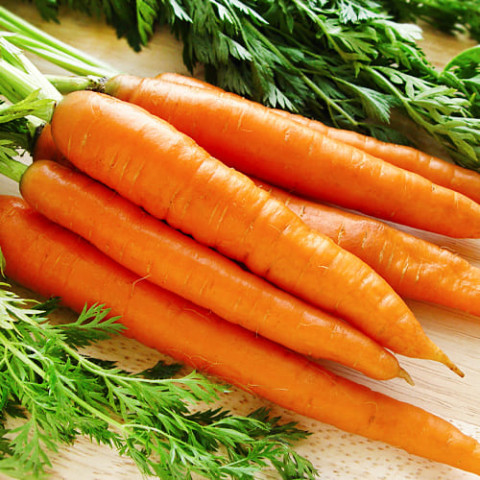 Морковь Скарла фото