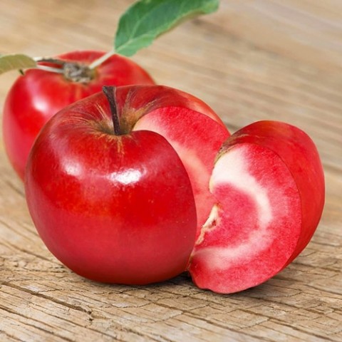 Яблоня красномясая Джеромини фото