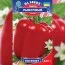 Перец Рыночный ранний фото