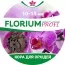Кора для Орхидей Florium Profi 3л (10-15 мм)  фото