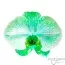 Фаленопсис Lime-Green фото