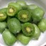 Актинидия аргута Jumbo фото