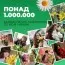 Премиум Микс гиацинтов Чикаго (брендовый пакет) фото