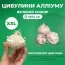 Набор аллиумов Purple Rain фото