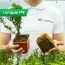 Барбарис Evita фото
