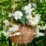 Бегония Pendula Cascade White фото