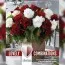 Бегония Double Dark Red & White (Брендовые луковицы KAPITEYN®) фото