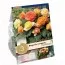Бегония Pendula Cascade Pastel Mixed (Брендовые луковицы KAPITEYN®) фото
