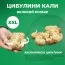 Калла Novi Sun 16/18 фото
