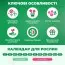 Канна Queen Charlotte (Многоцветный цветок) фото