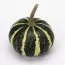 Тыква Flat Striped фото