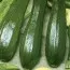 Кабачок Цукини Сорая фото