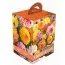 Георгина Mixed Colours Box Summer Garden (Брендовые луковицы KAPITEYN®) фото