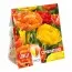 Комбо Тюльпаны Duopack Double Yellow and Orange (Брендовые луковицы KAPITEYN®) фото